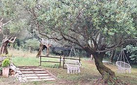 Moradia rural de charme agradável e acolhedora